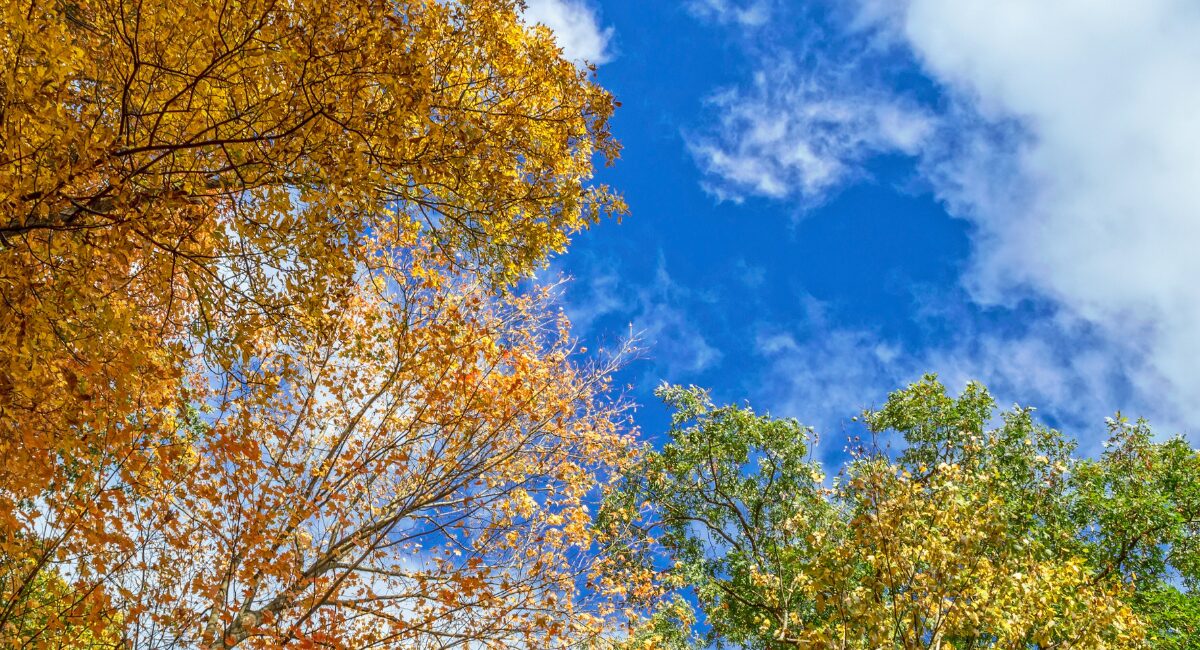 東部中学校の皆さんから、職場体験のお礼の言葉が届きました！