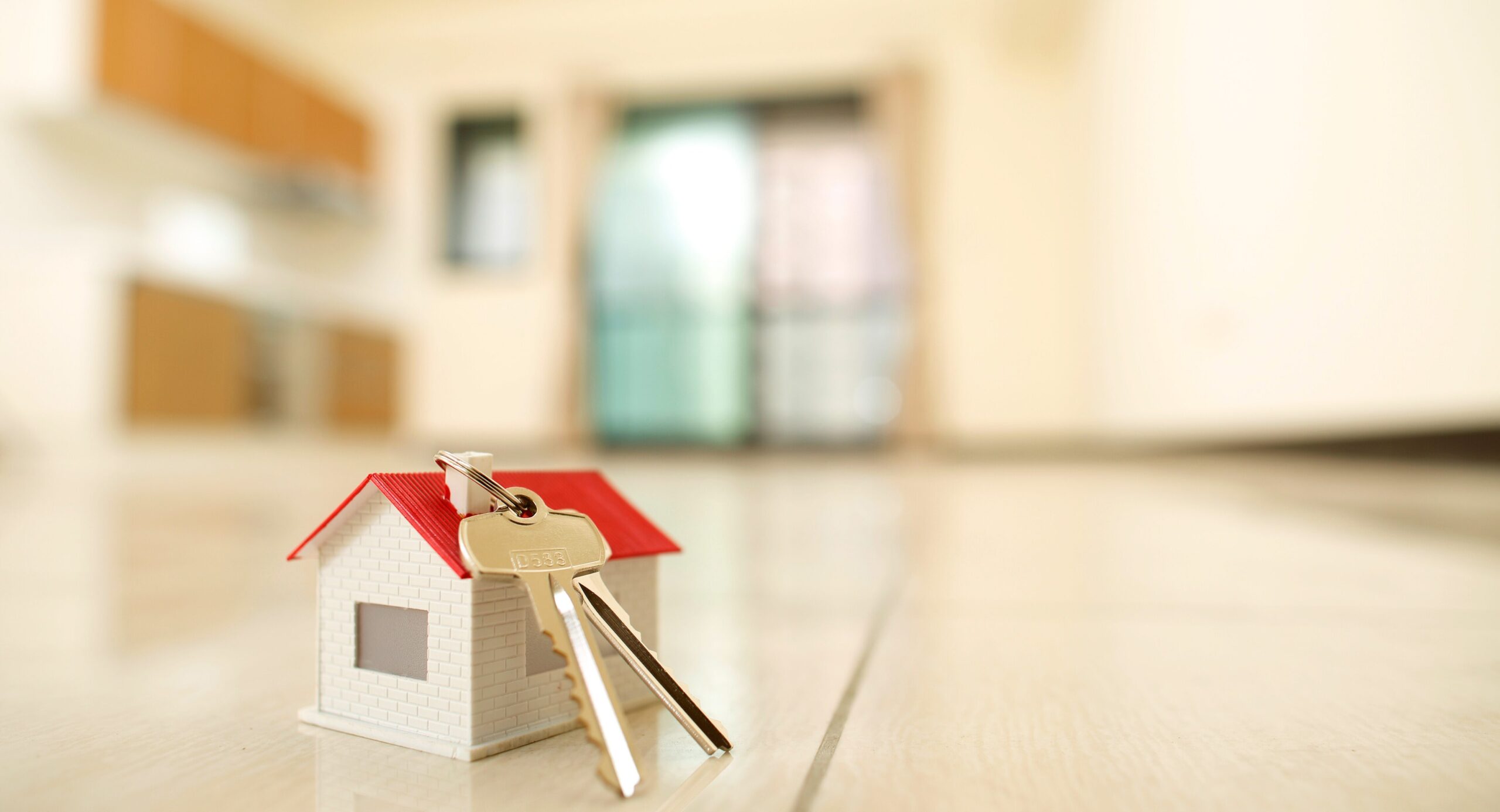 売却を視野に入れる場合の注意点