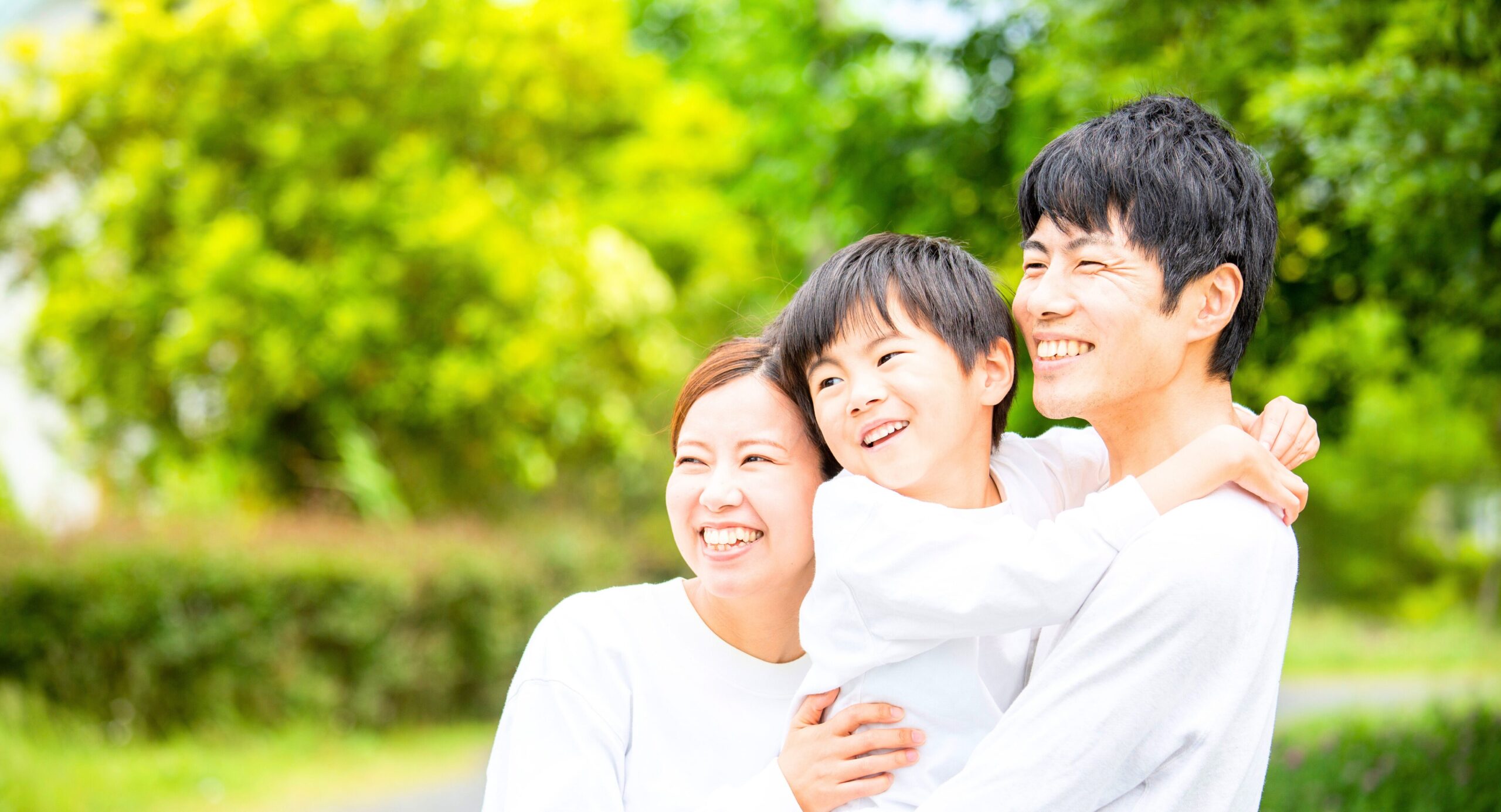 従来型住宅（長期優良・ZEH水準）は一部世帯のみ対象