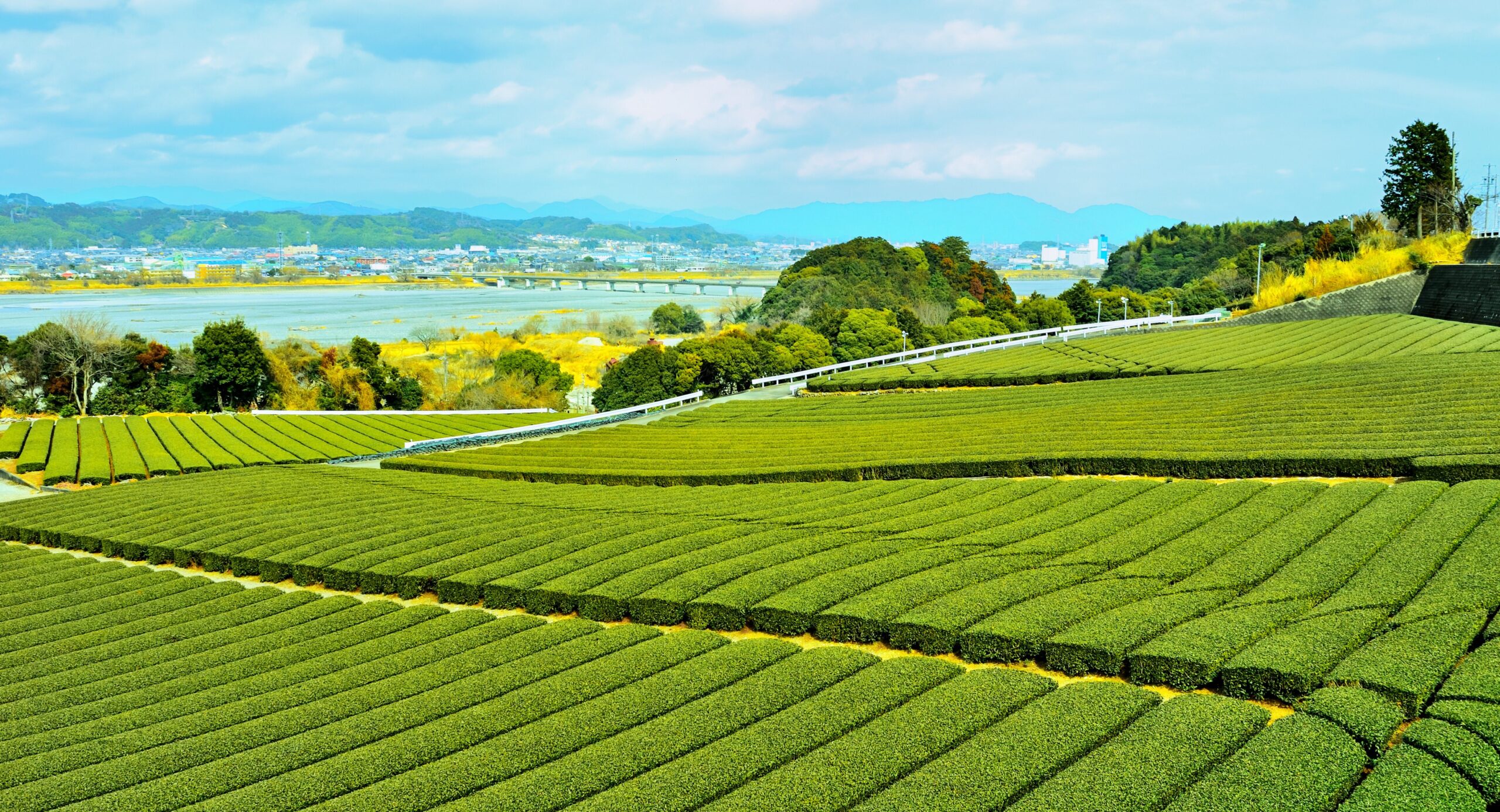 島田市で比較的安全とされるエリア