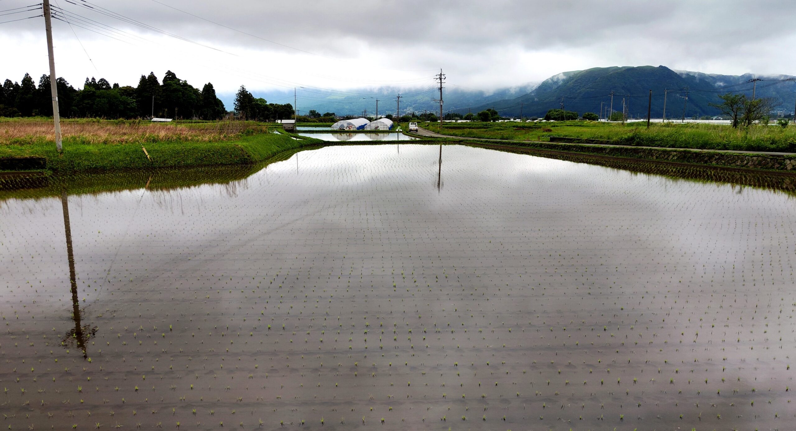 島田市の水害リスクと発生しやすいエリア