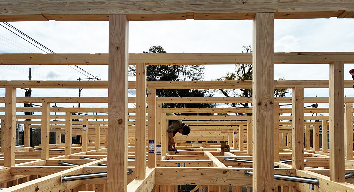 骨組みの中に立つと見えてくる、空間の広がり
