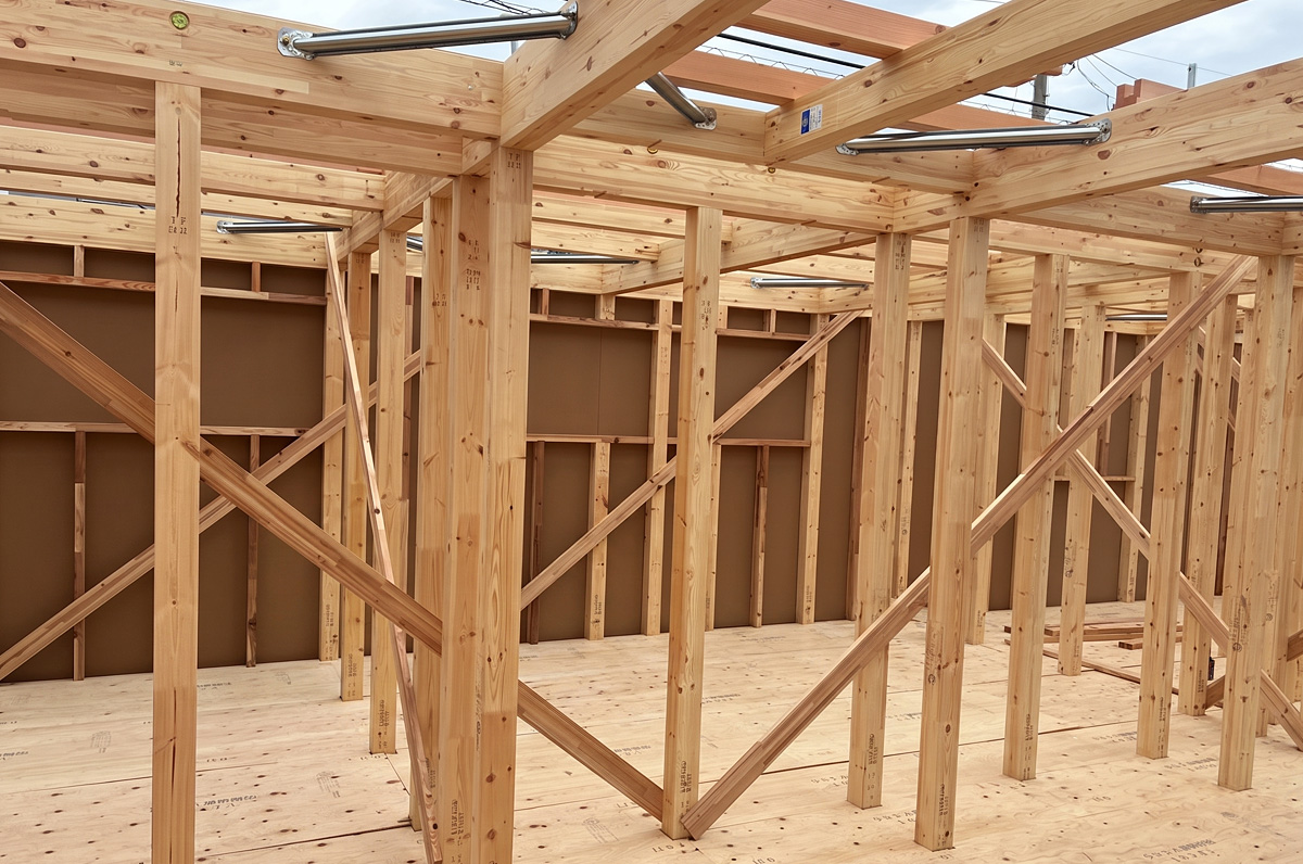 構造が組み上がった内部の空間